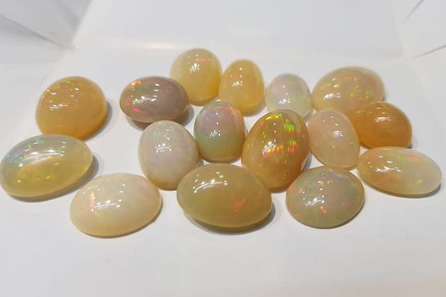 f0bb29 43fed1155b7e4031995d5f4253ac4462mv2.jpg